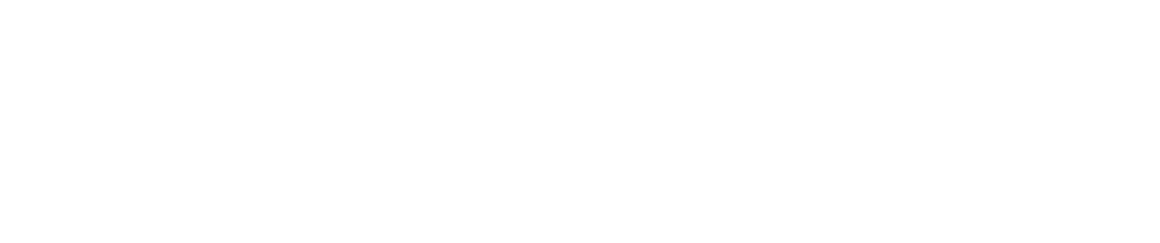 Stone Point